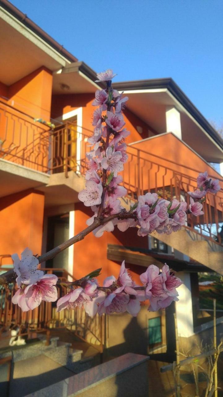 Apartment Zita With 1 Bedroom In Relaxing Surroundings Near Umag Exteriör bild