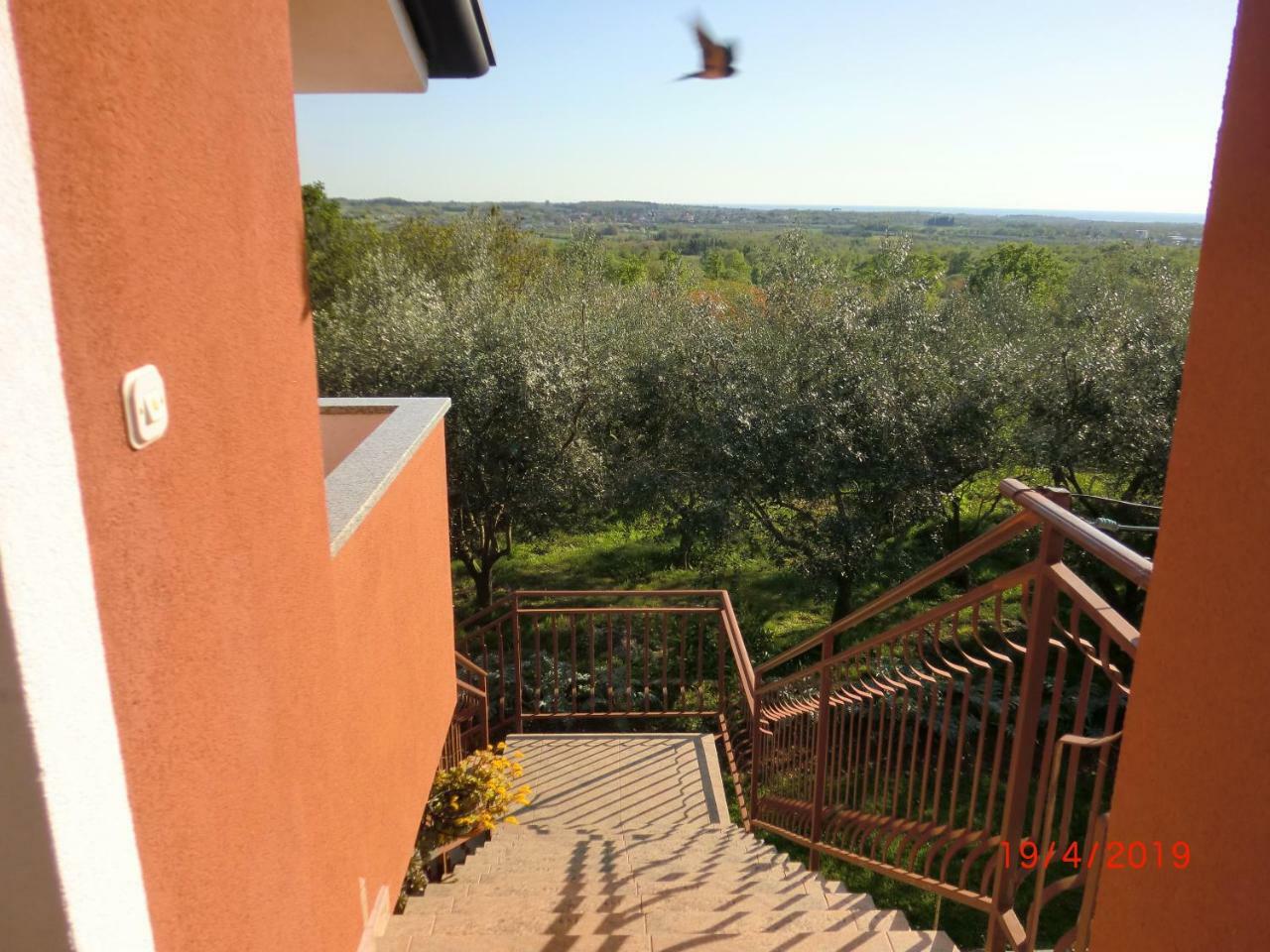 Apartment Zita With 1 Bedroom In Relaxing Surroundings Near Umag Exteriör bild